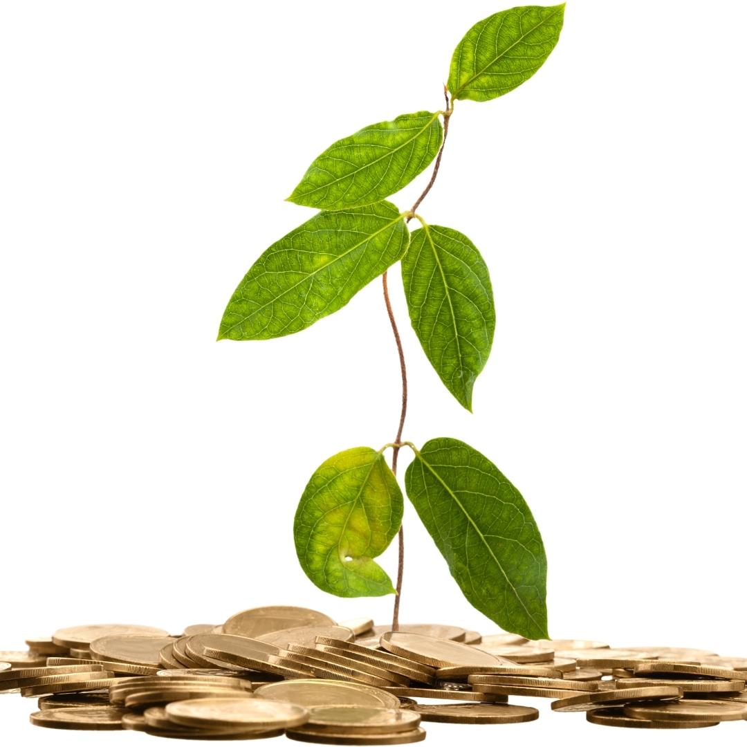 mutual fund and sip